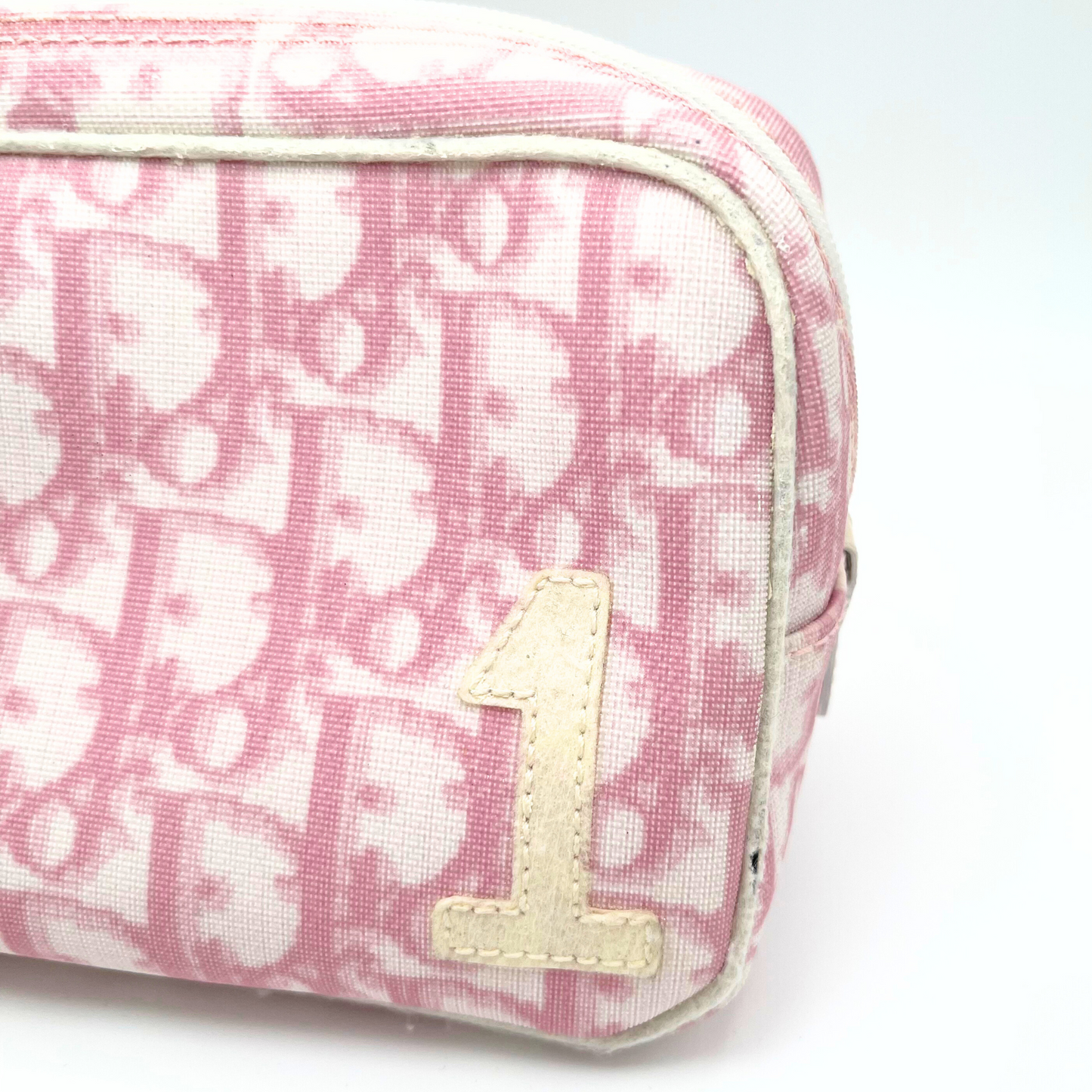 Dior Trotter Pouch