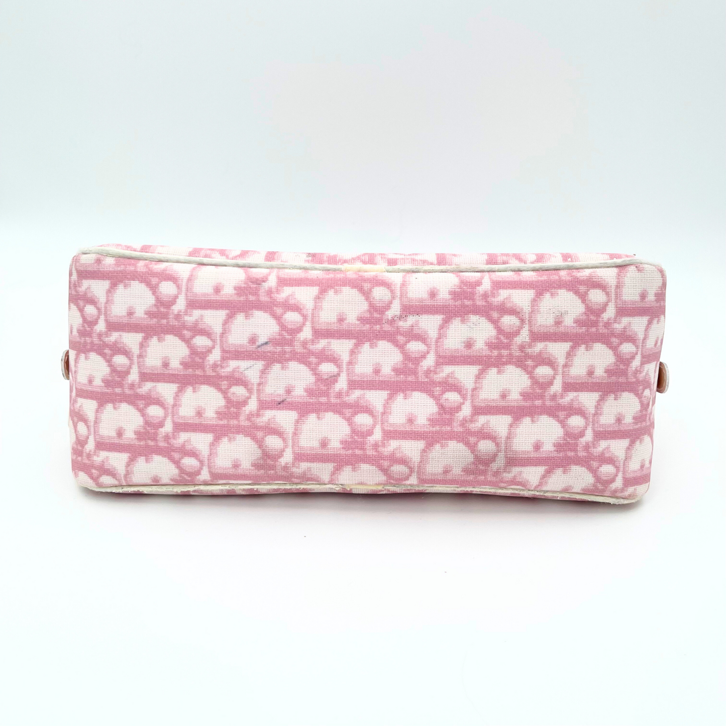 Dior Trotter Pouch
