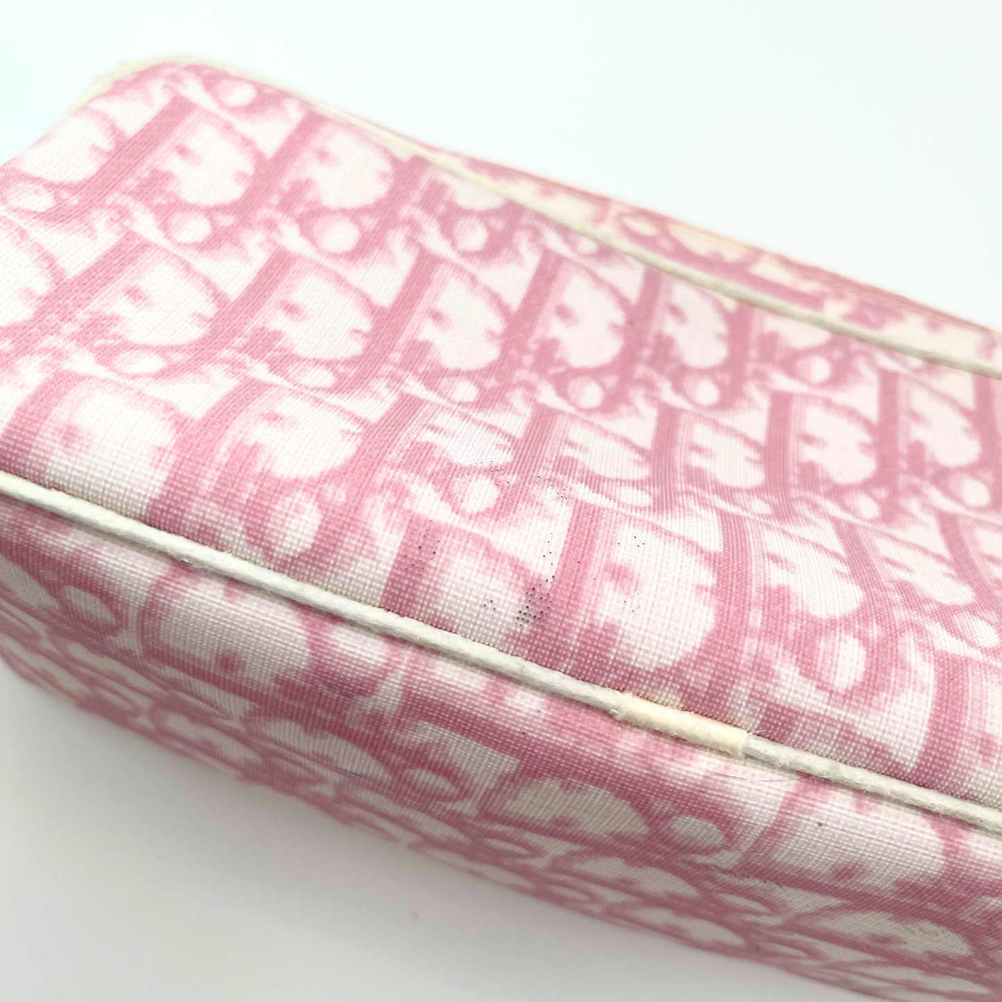 Dior Trotter Pouch