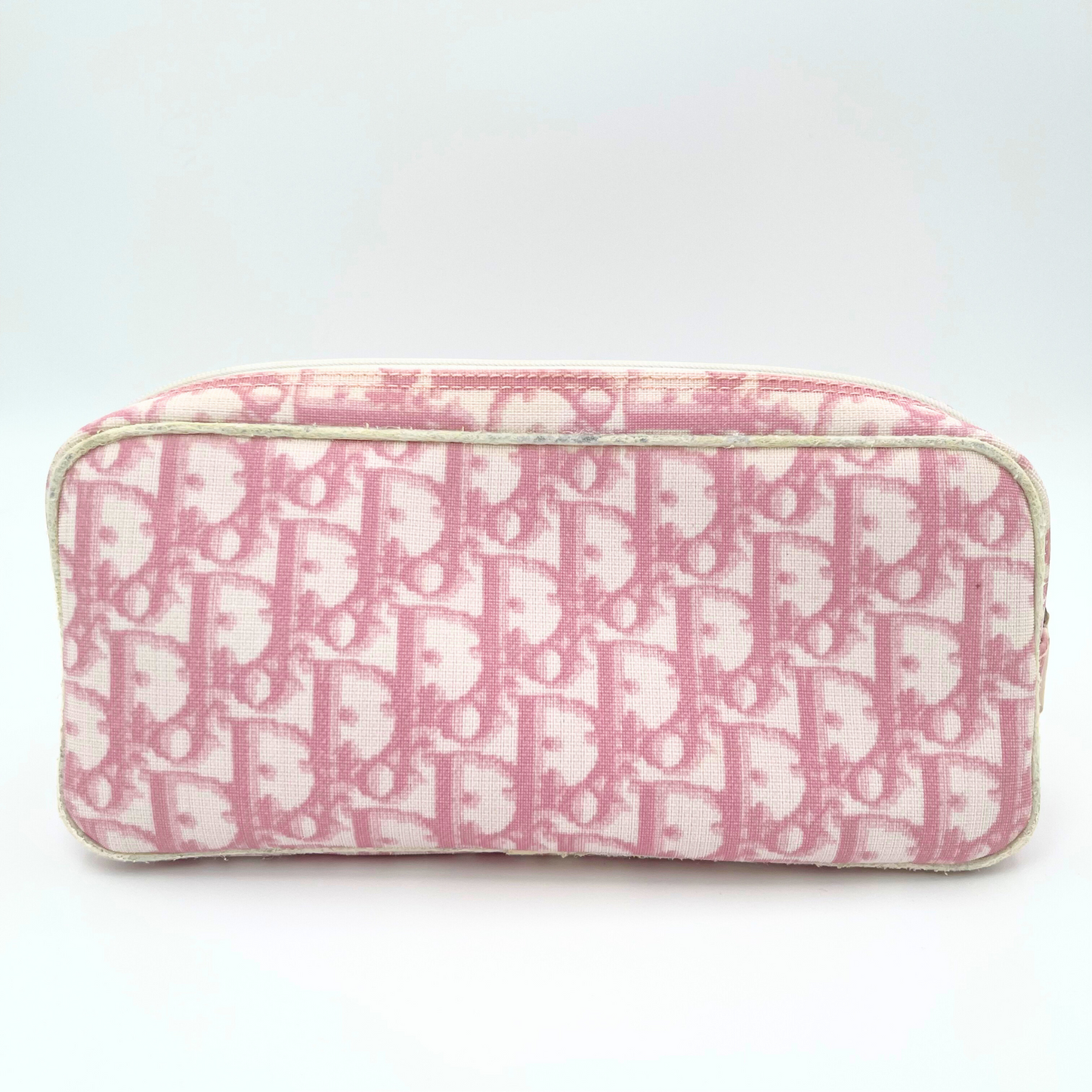 Dior Trotter Pouch
