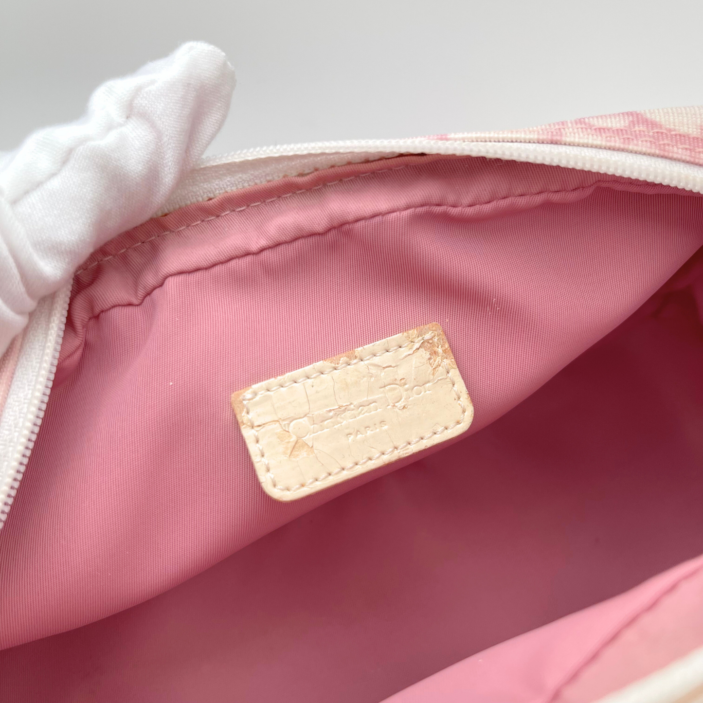 Dior Trotter Pouch