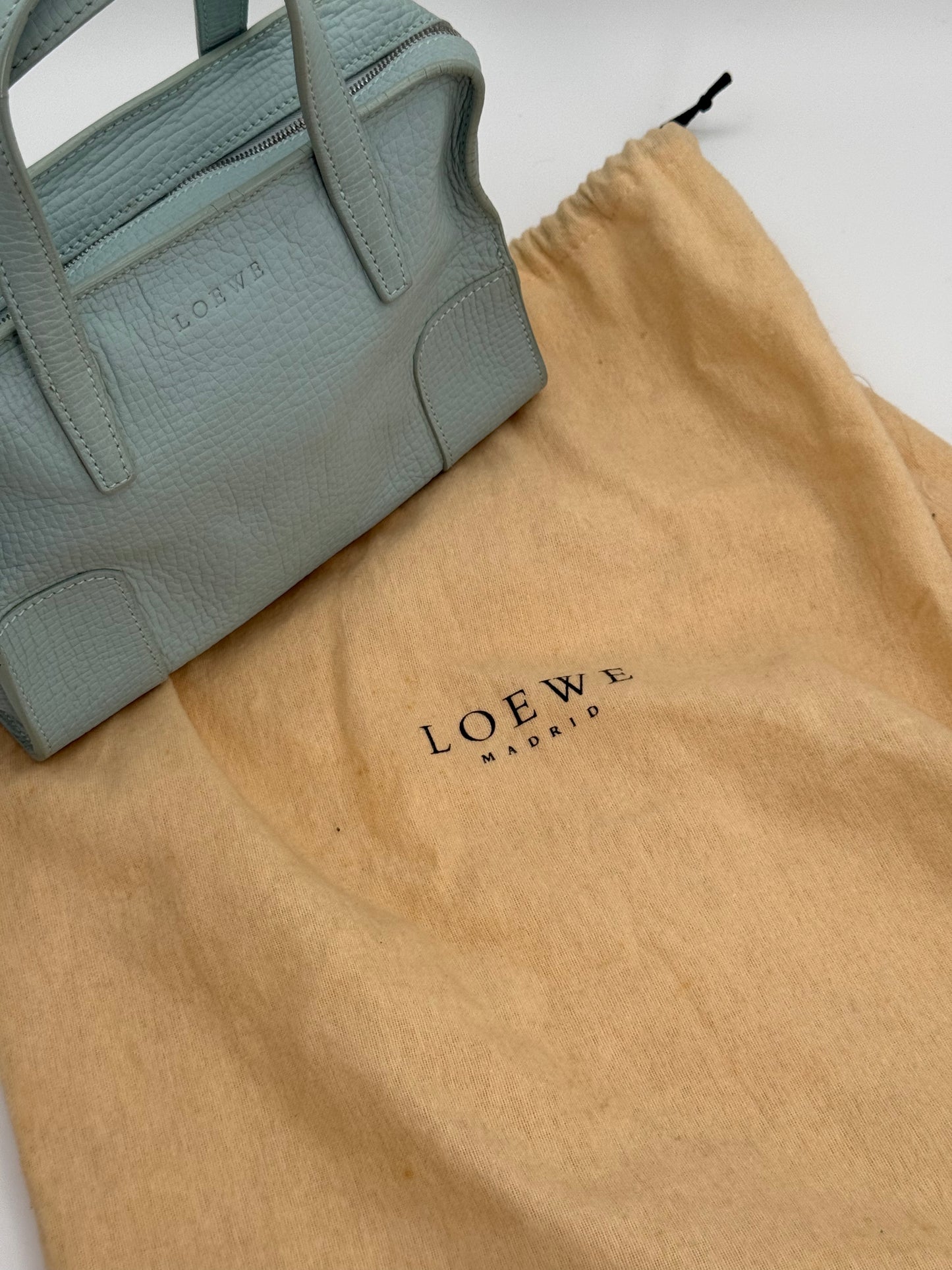 Loewe Amazona Mini Bag